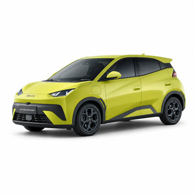 DOLPHIN-SURF-MINI GlobalBYD