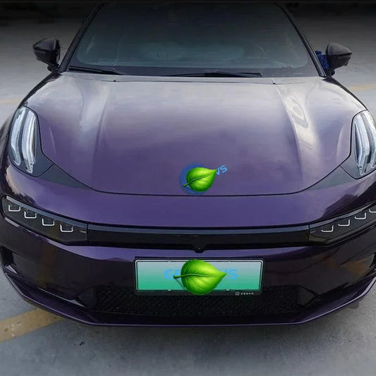 Devil's Eye Car Stickers for ZEEKR 001 Geelyevs