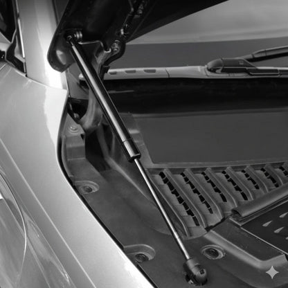 BYD ATTO 3 Front Bonnet Gas Strut Kit EV Trove