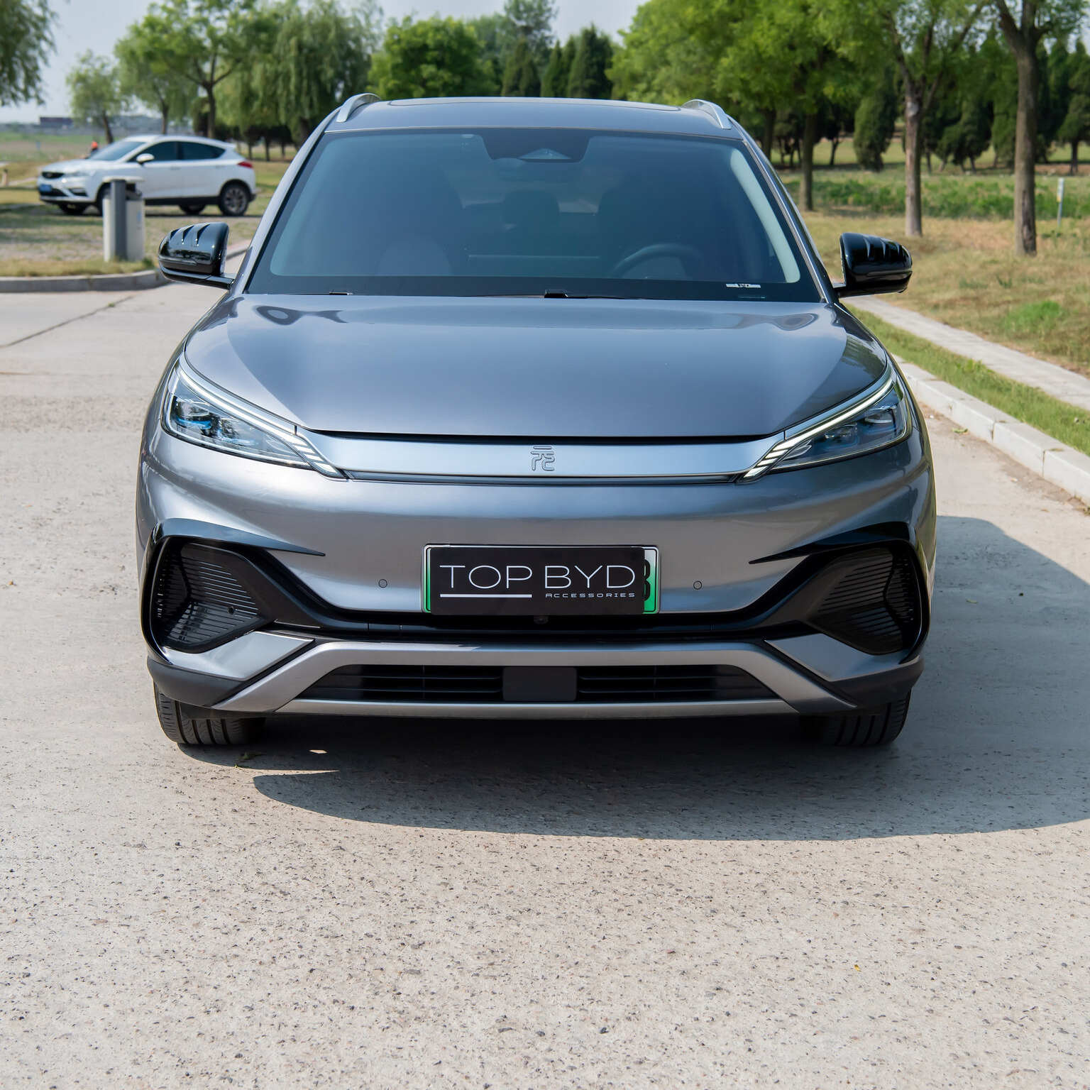 Front Fog Lamp Trim Frame for BYD Atto 3