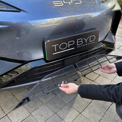 BYD Sealion 7 Kühlergrillsicheres Netz