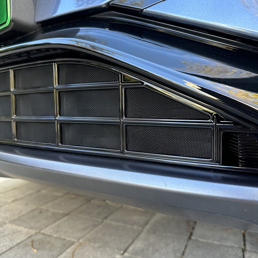BYD Sealion 7 Kühlergrillsicheres Netz