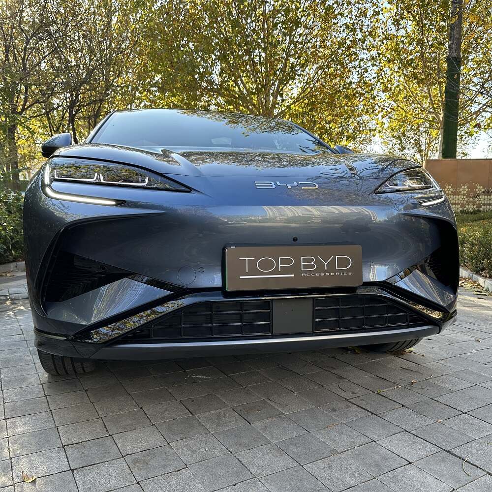 BYD Sealion 7 Grille Proof Net