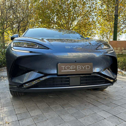 BYD Sealion 7 Kühlergrillsicheres Netz
