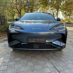 BYD Sealion 7 Grille Proof Net