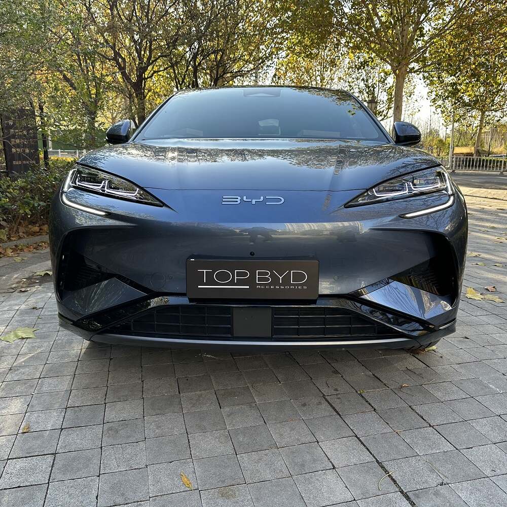 BYD Sealion 7 Kühlergrillsicheres Netz
