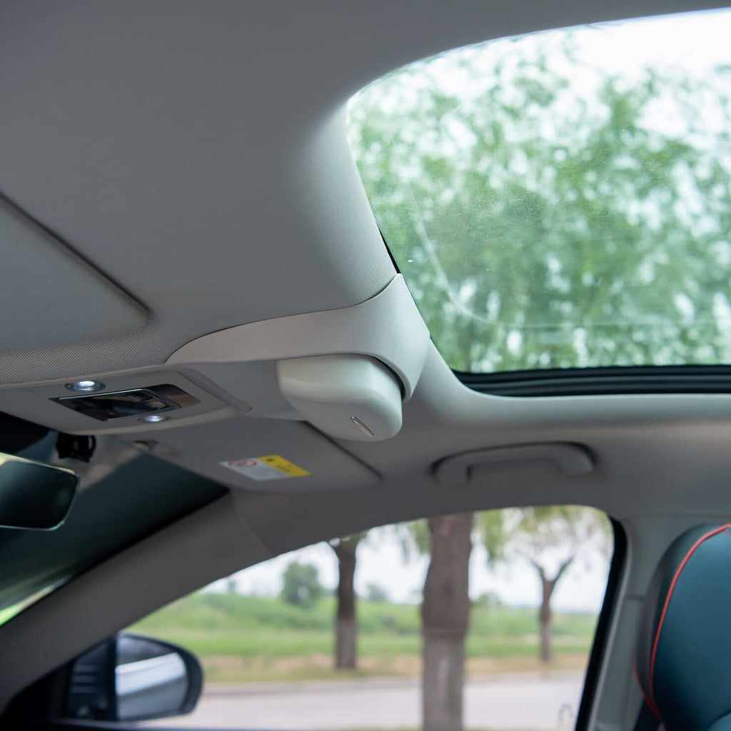 Glasses Case for Atto 3