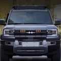 Grille Light for Denza B5