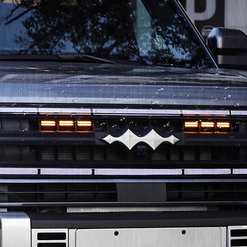 Grille Light for Denza B5