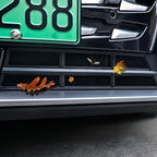 Grille Proof Net for DENZA D9