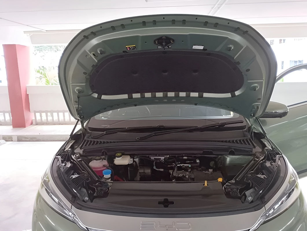 Gasdruckfedern für die Motorhaube des BYD Atto 3