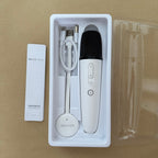 Wireless Microphone for BYD