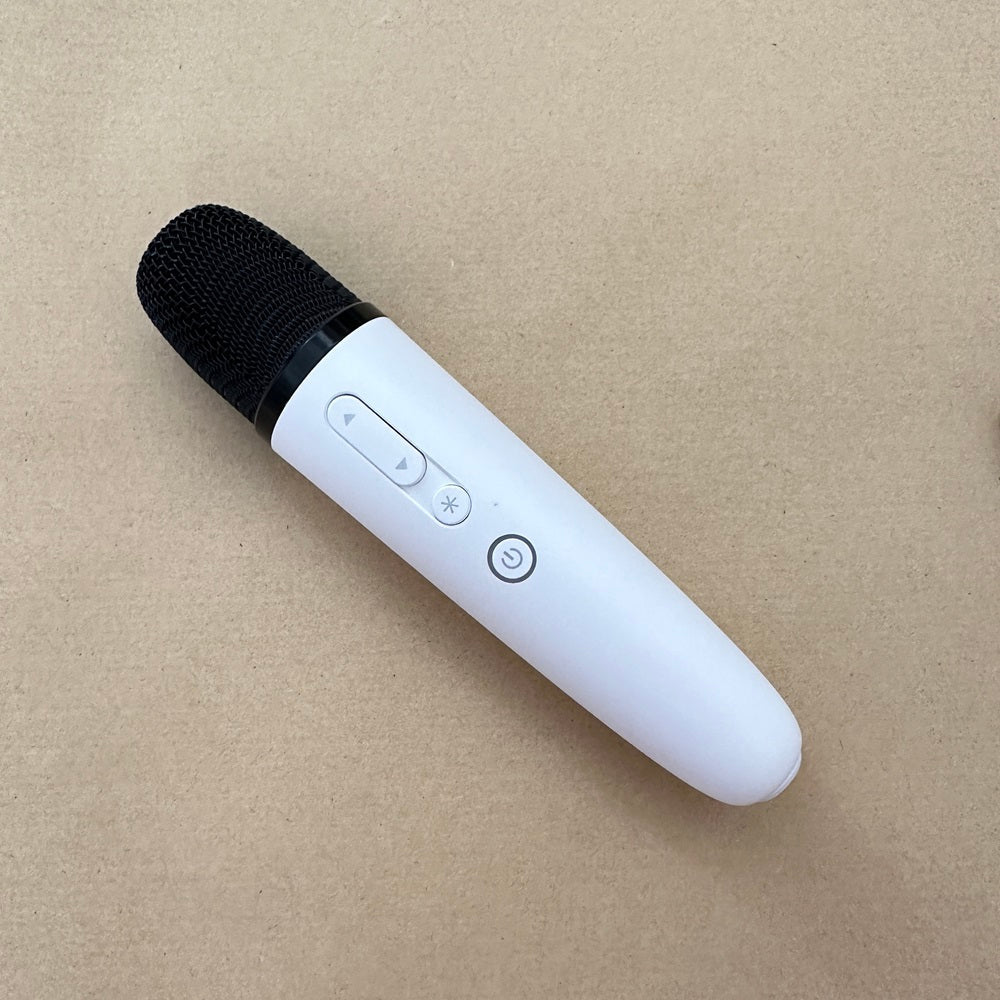 Wireless Microphone for BYD