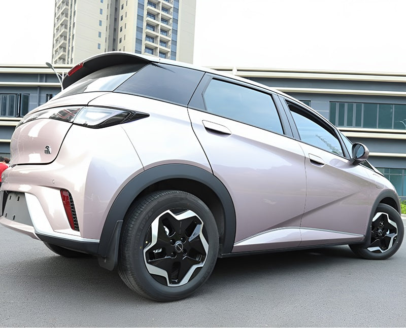 Mud Flaps for BYD Dolphins