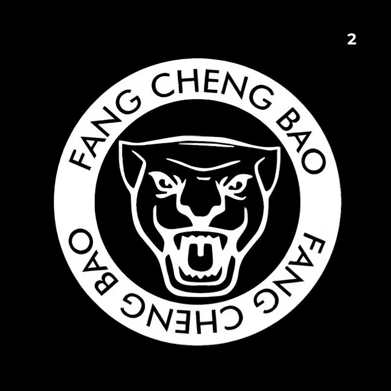 Puddle Lights for Denza B5