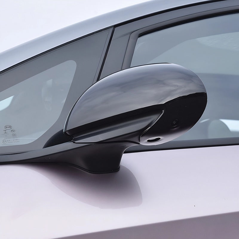 Side Mirror Cover for BYD Dolphin TOP BYD LIMITED