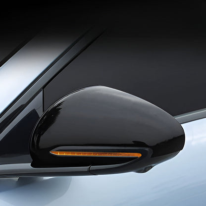 Side Mirror Cover for BYD Seal TOP BYD