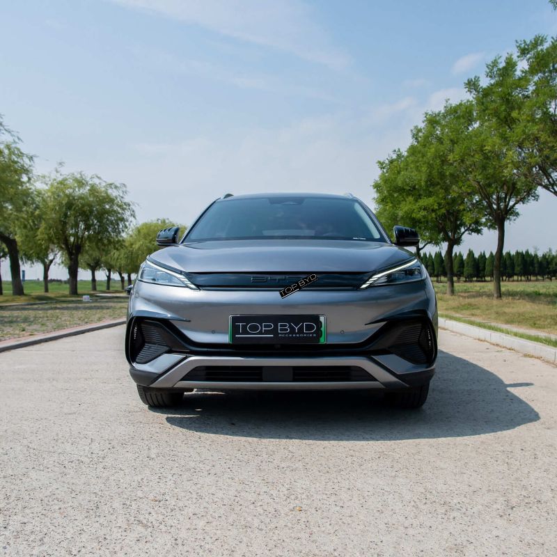 Lamella della griglia di styling per BYD Atto 3