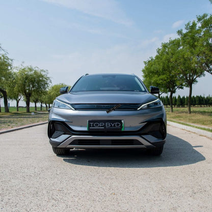 Lamella della griglia di styling per BYD Atto 3