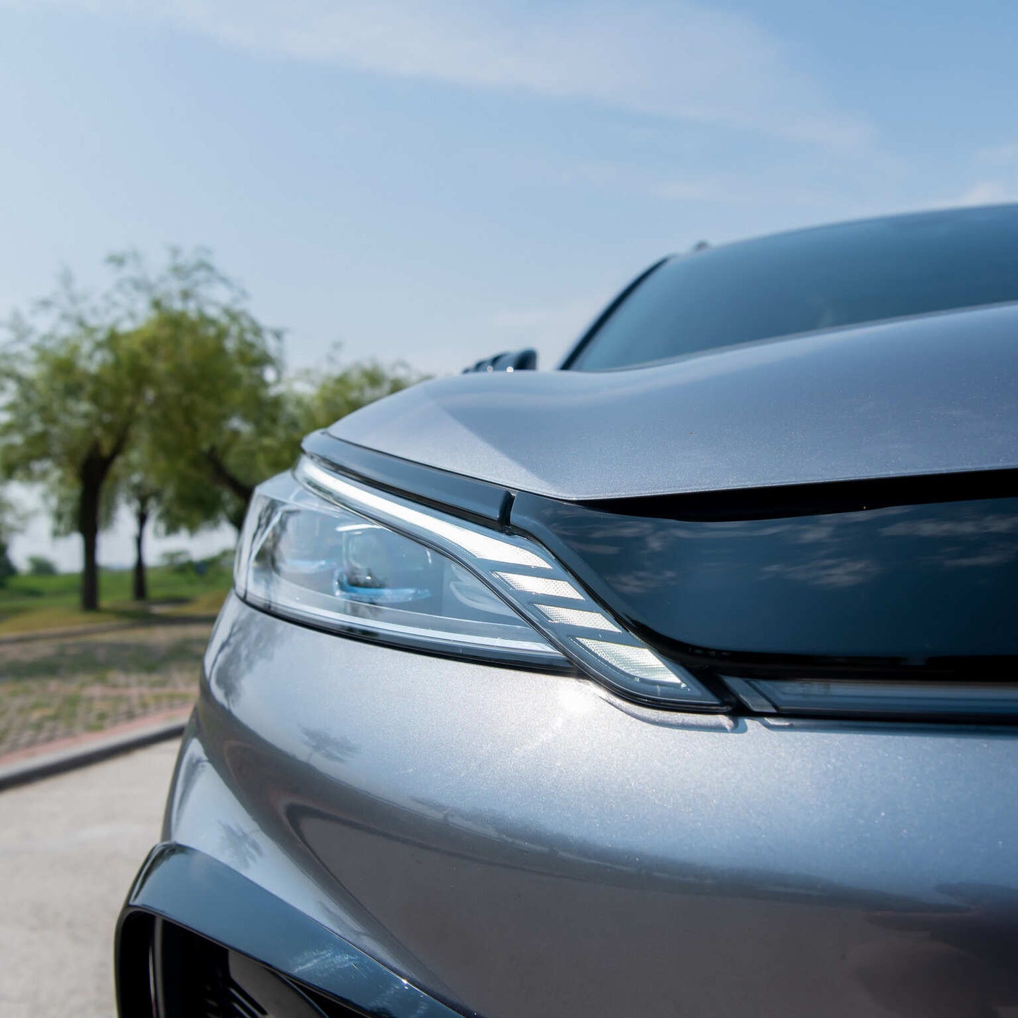 Lamella della griglia di styling per BYD Atto 3