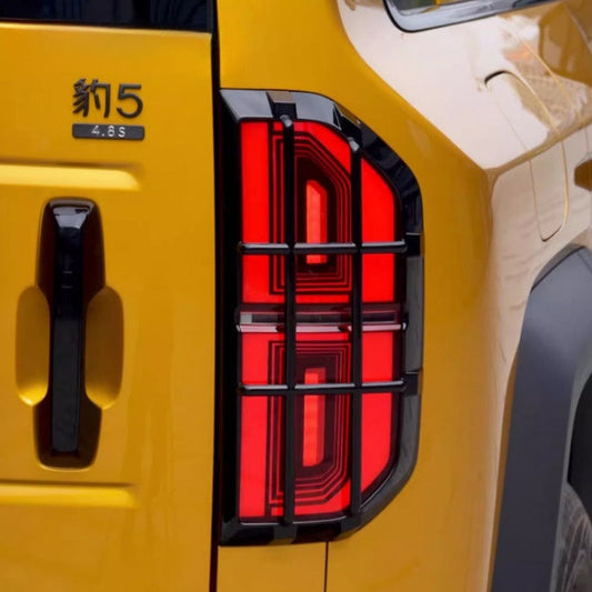 Rücklichtschutz für Denza B5 (2 Stück)