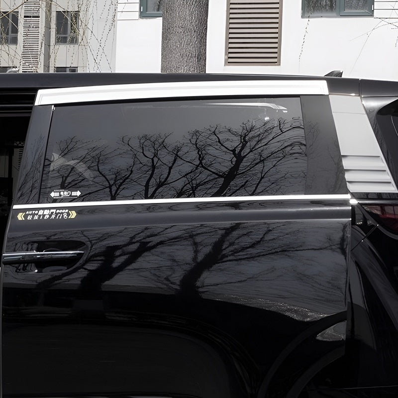 Window Visor for DENZA