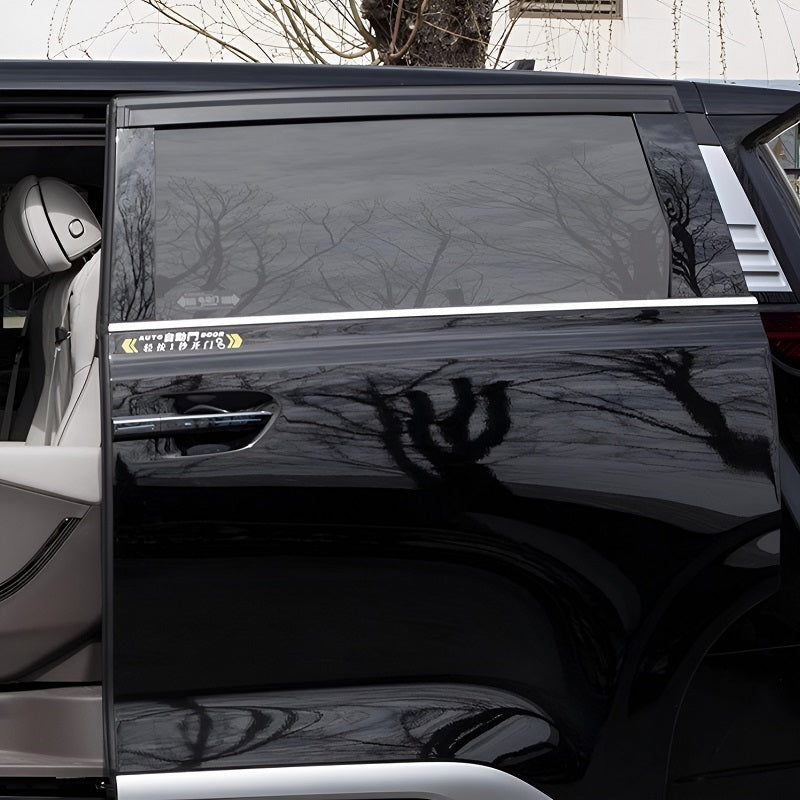 Window Visor for DENZA