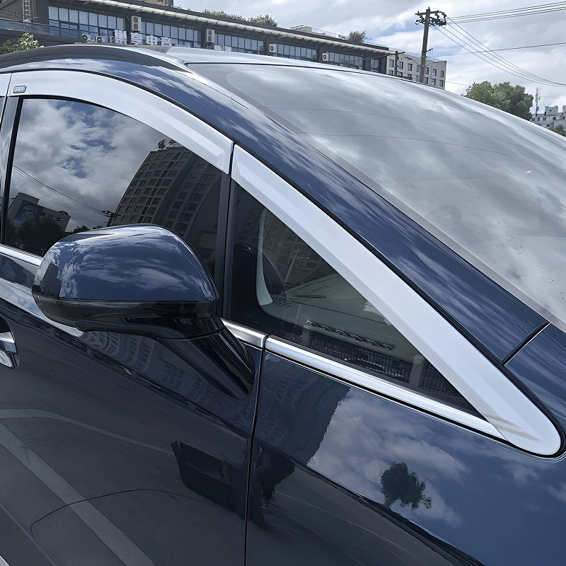 Window Visor for DENZA