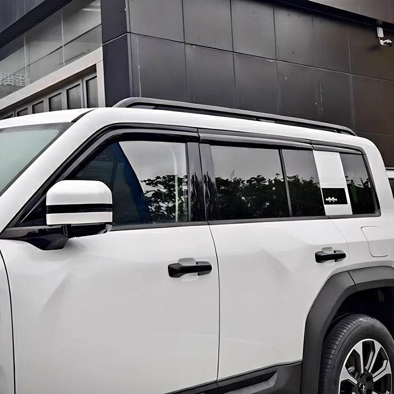 Window Visor for Denza B5