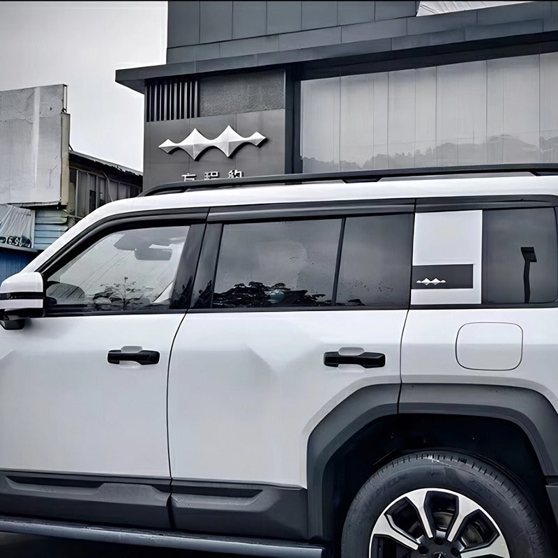 Window Visor for Denza B5