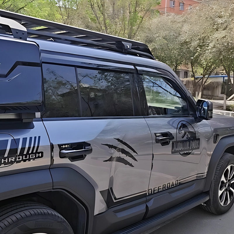 Window Visor for Denza B5