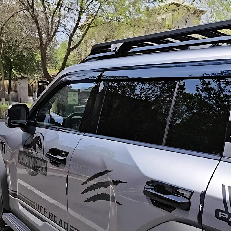 Window Visor for Denza B5