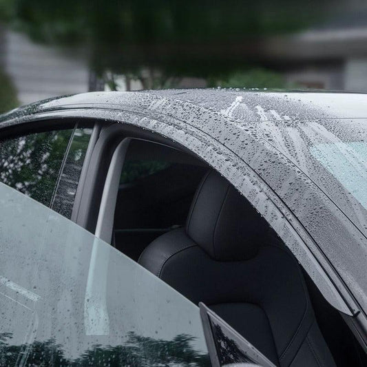 Window Visors for ZEEKR Geelyevs