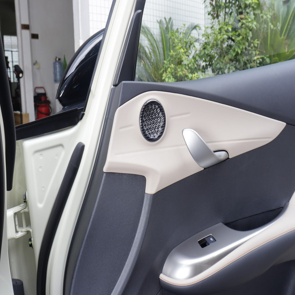 BYD Dolphin Speaker Covers EV Trove