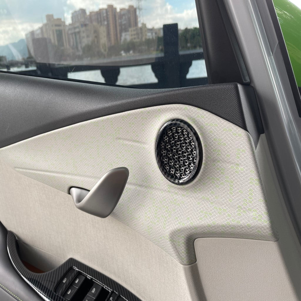 BYD Dolphin Speaker Covers EV Trove